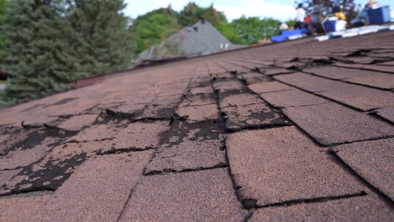 Best Flat Roofing  in Thomasville, GA